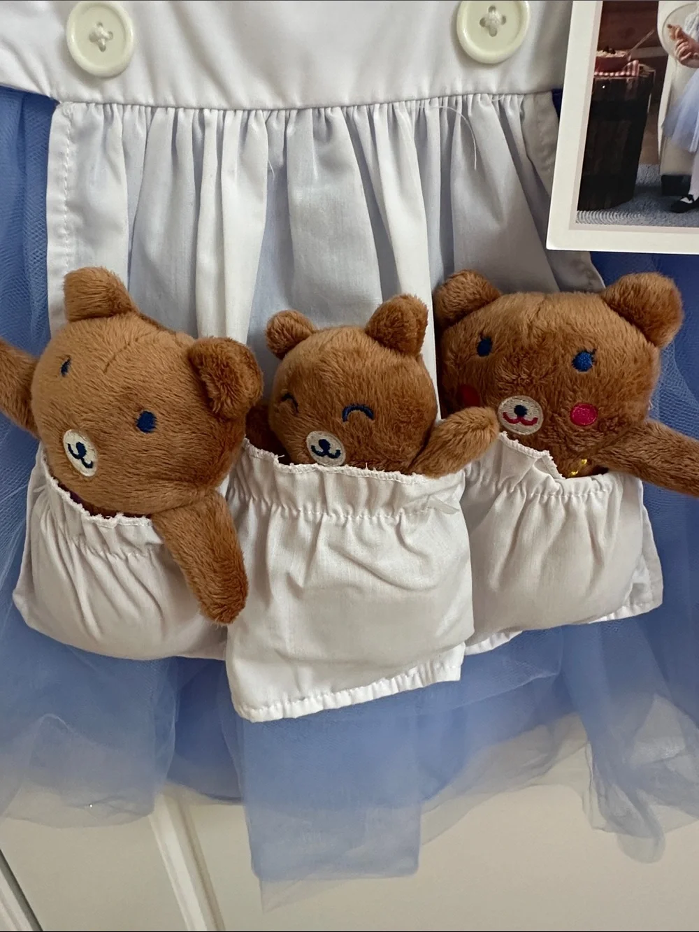 Child's Light Blue Gingham Tulle Bear Pocket Costume Dress 4T